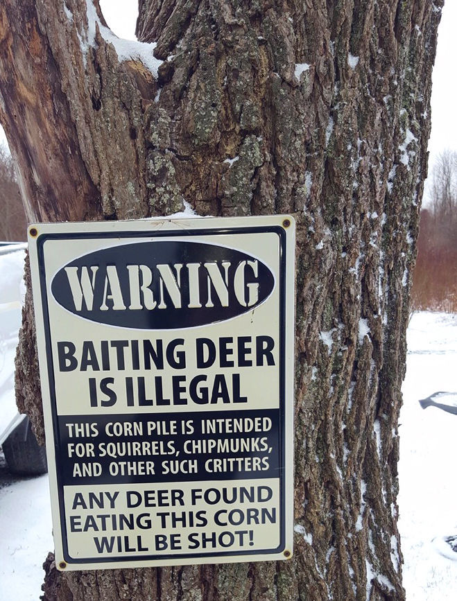 Humorous tree